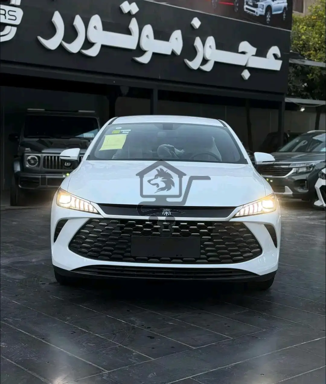 BYD - الصورة 1