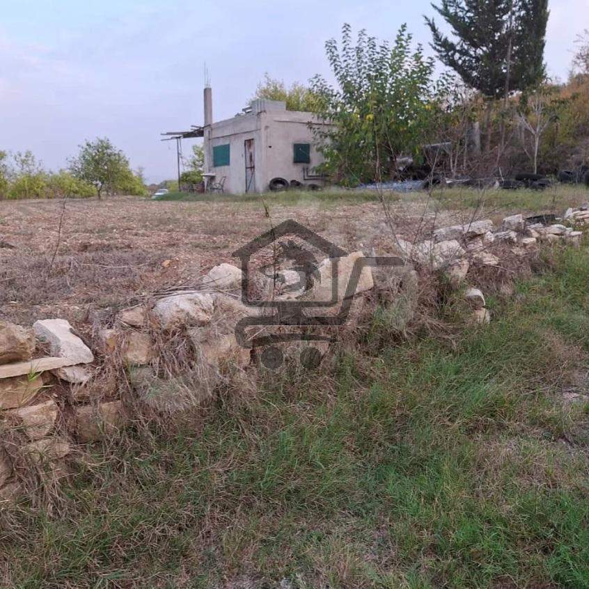 ارض زراعية في الريف - الصورة 4