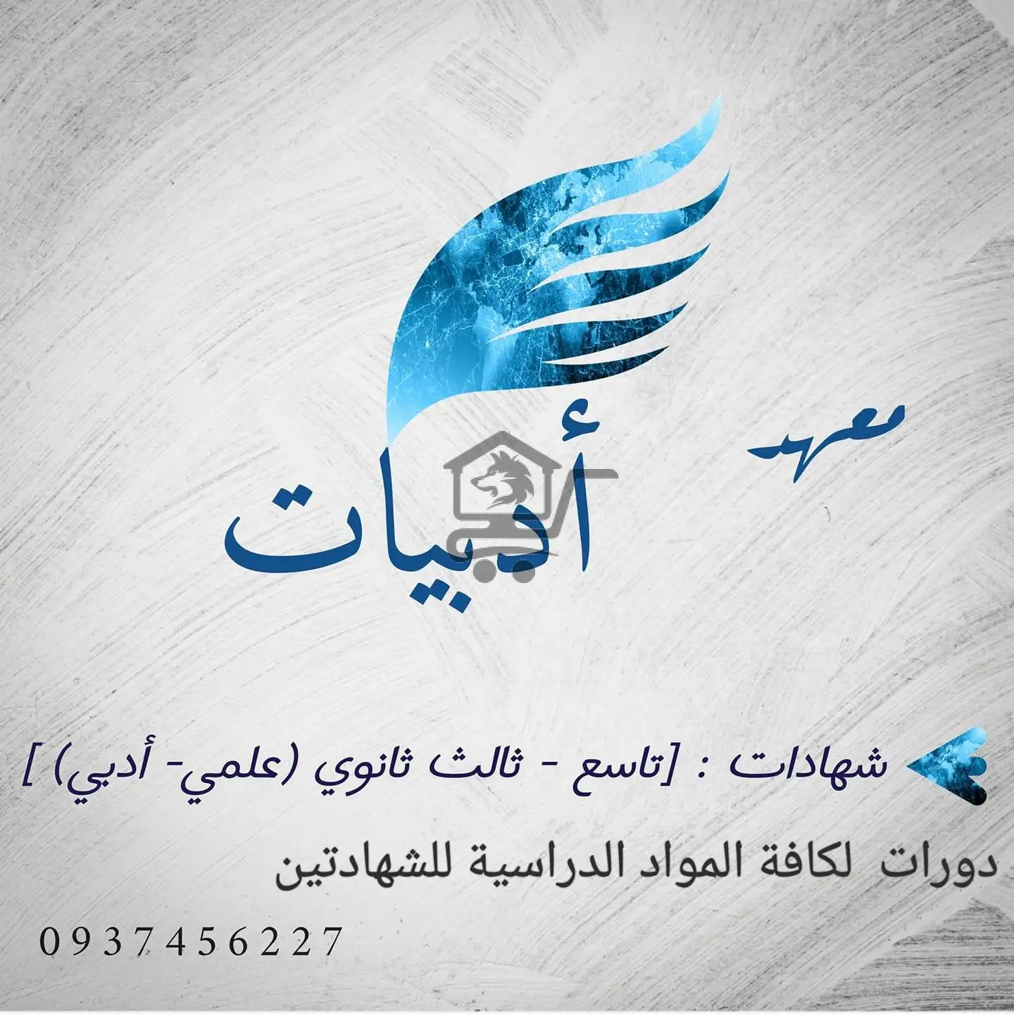 معهد أدبيات - الصورة 1