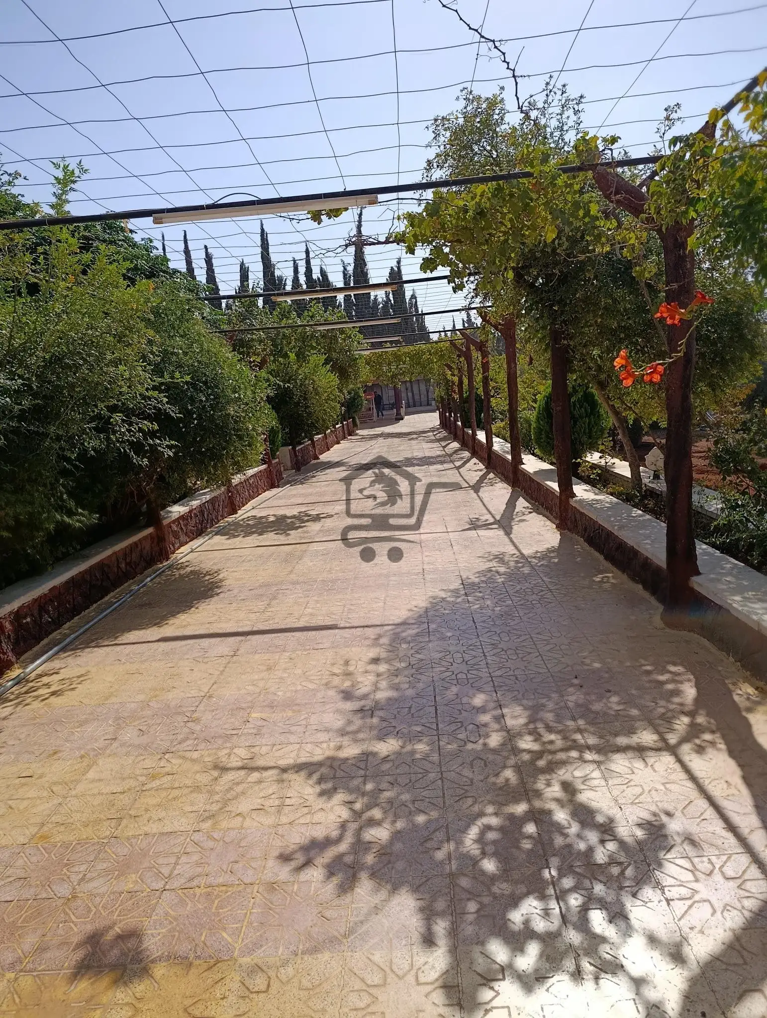 حلب خان العسل - الصورة 5