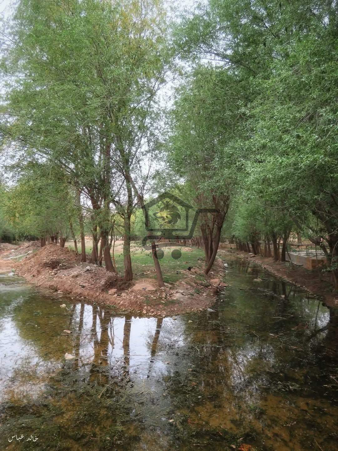 للبيع بسعر لقطة اقل من التكلفة