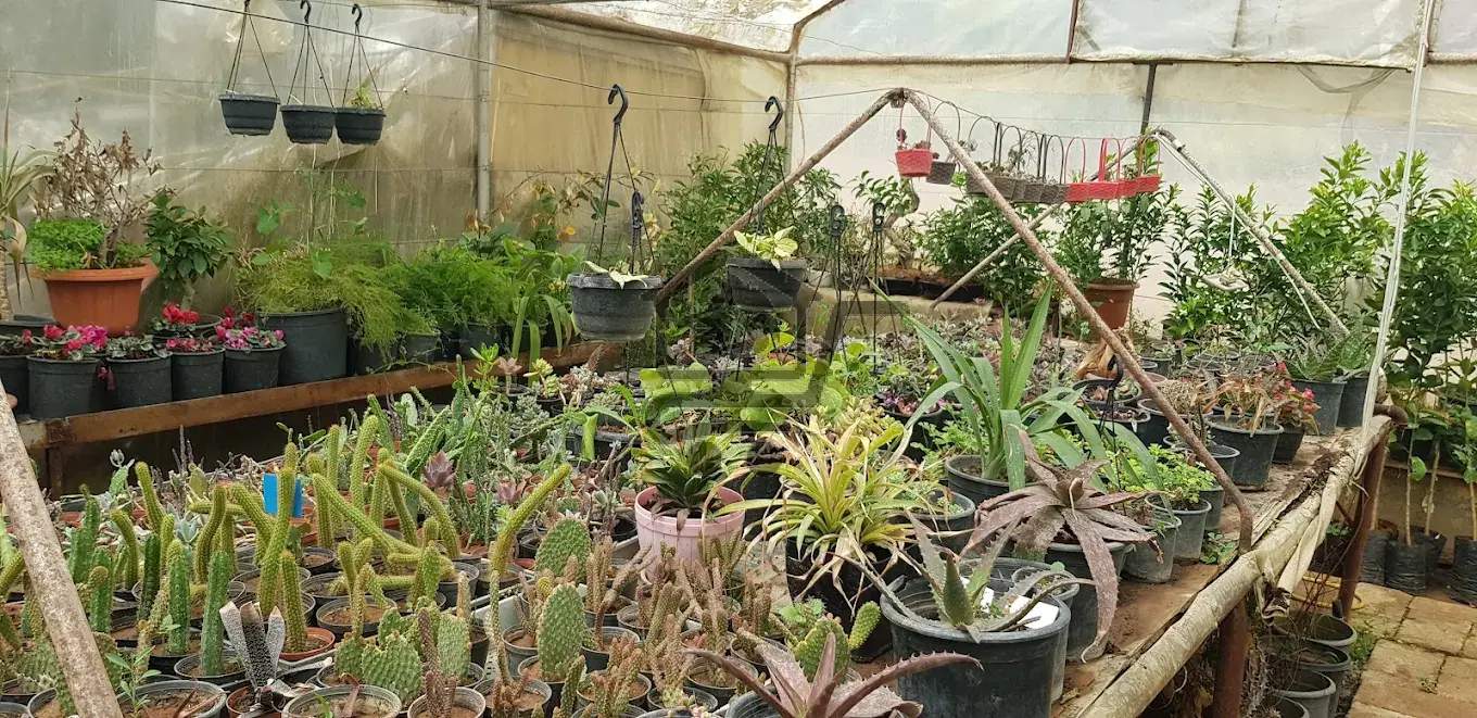 المركز التقني الزراعي - الصورة 2