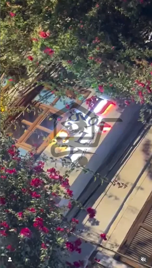 july restaurant مطعم جولي - الصورة 1