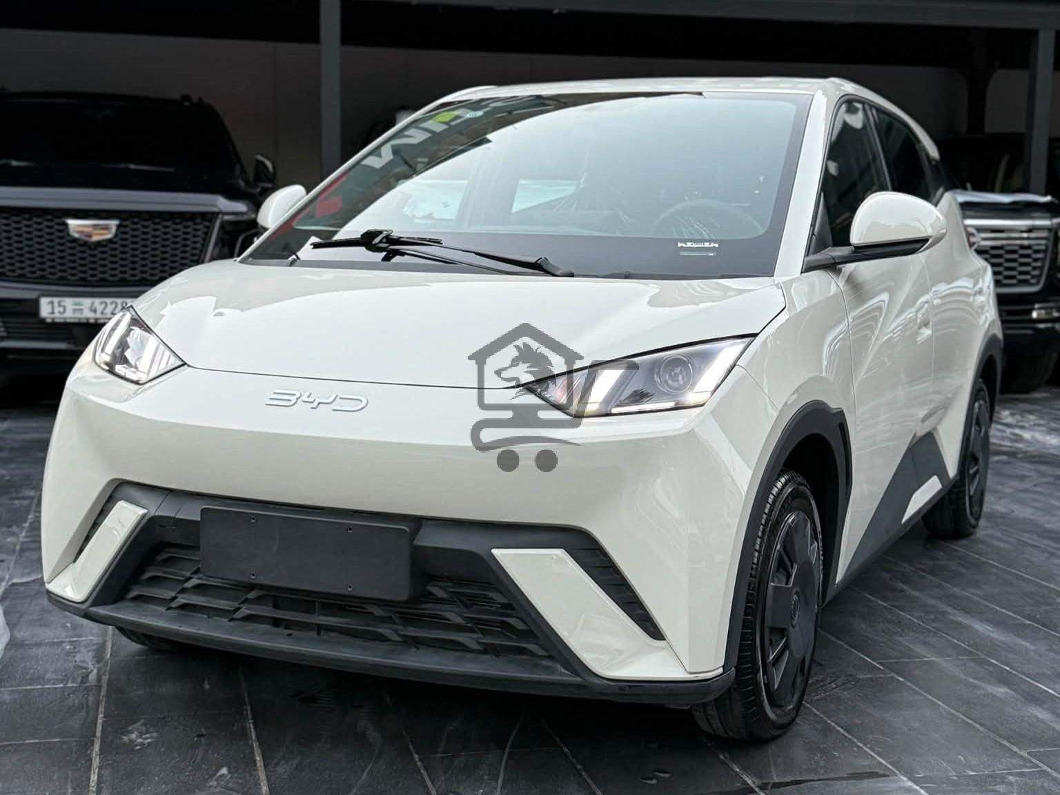 BYD Seagull 2025 - الصورة 3