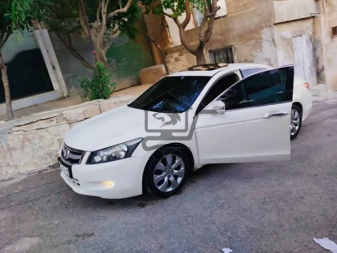 اكورد 2011 - الصورة 5