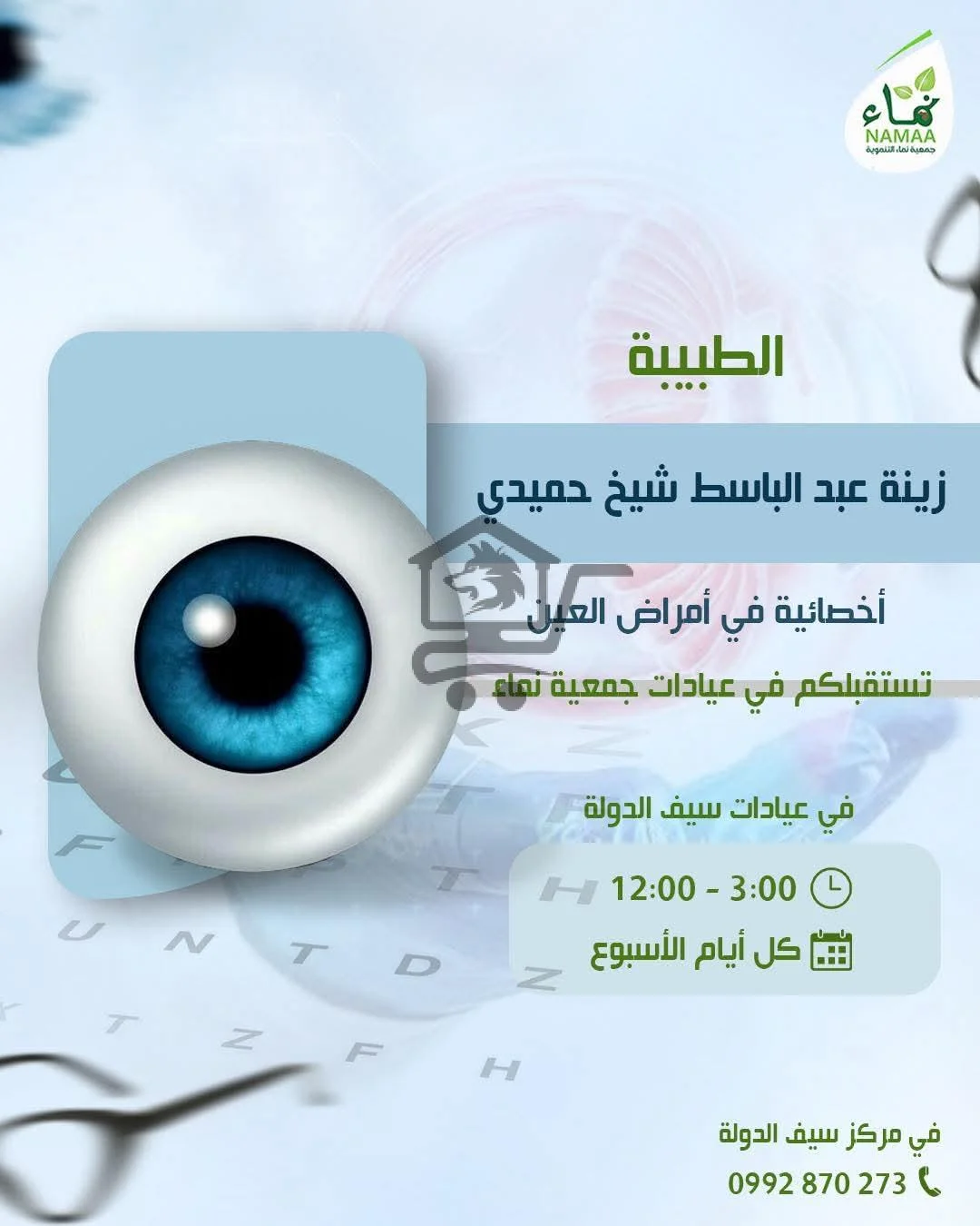 الطبيبة زينة عبد الباسط الحميدي