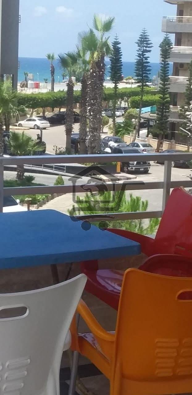 مجمع الرمال الذهبية - الصورة 4