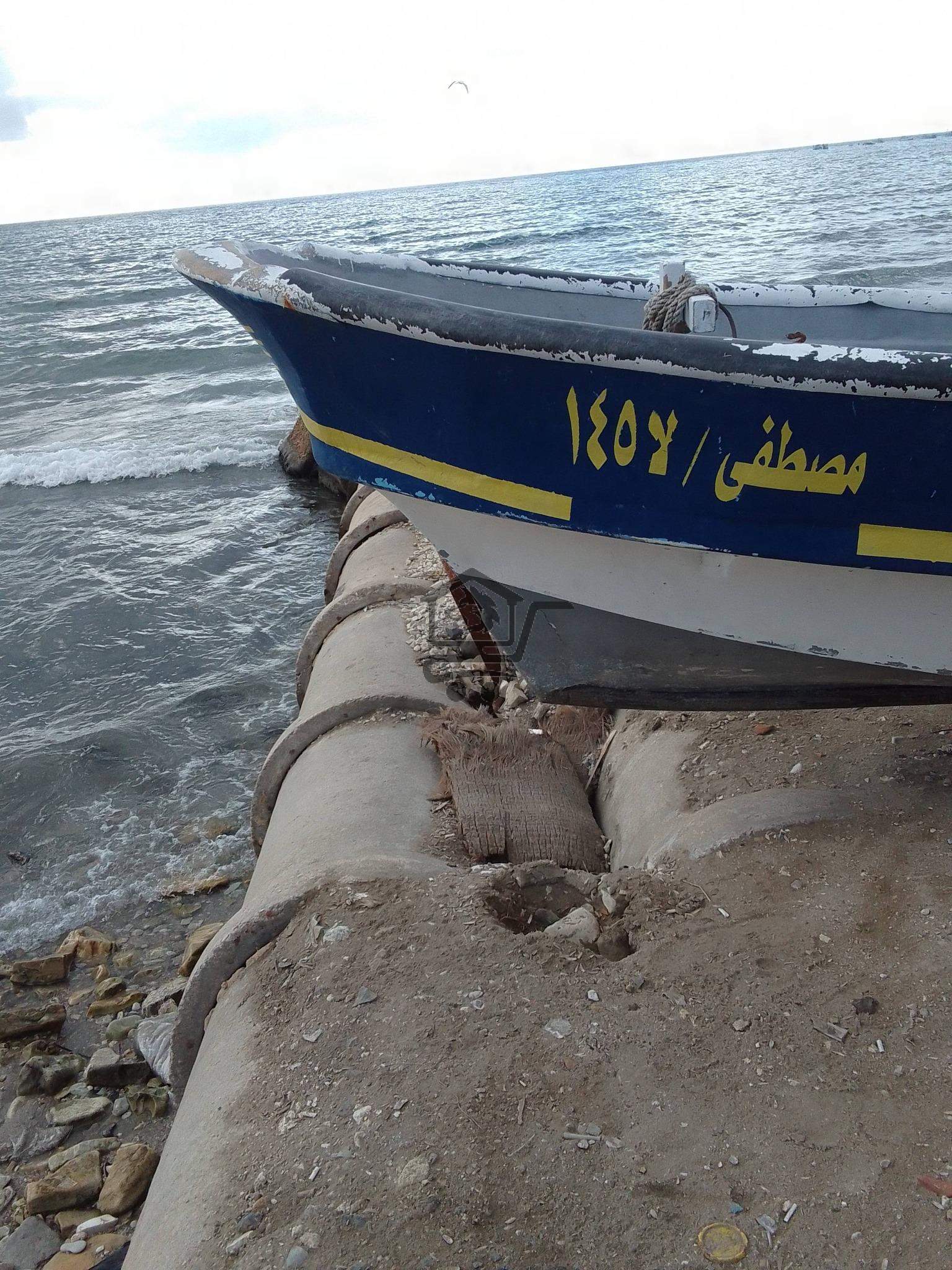 قارب للبيع - الصورة 3