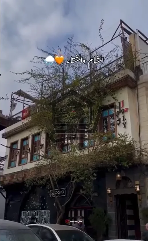 july restaurant مطعم جولي - الصورة 4