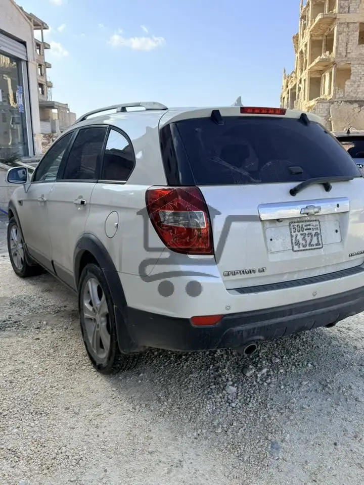 شفر كابتيفا مازوت 2011 - الصورة 3