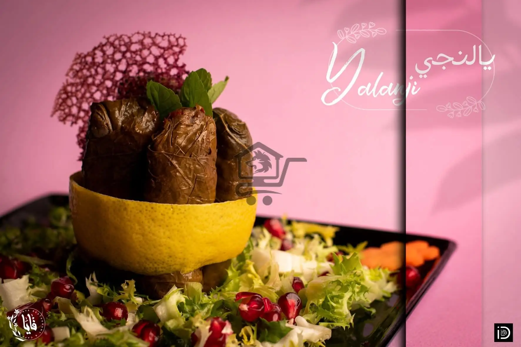 فايا - الصورة 2