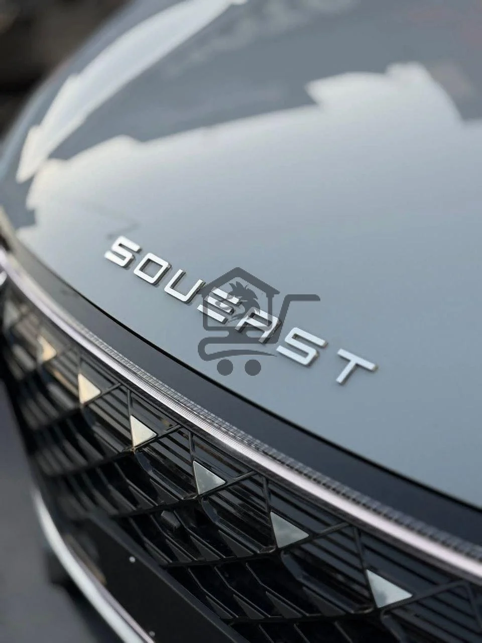 Chery Souseat S09 - الصورة 6