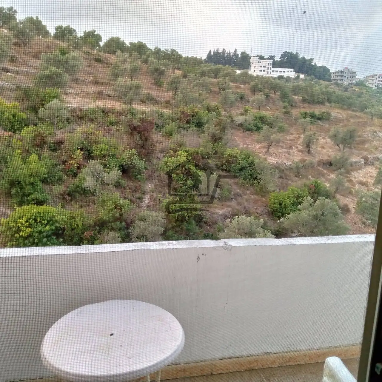 طرطوس .الشيخ سعد .حي الصهريج - الصورة 2