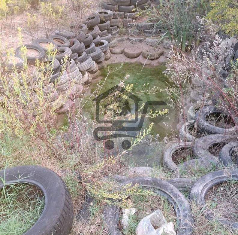 ارض زراعية في الريف - الصورة 2