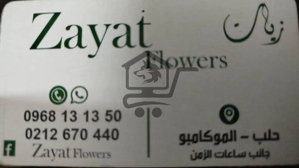 ازهار الزيات - الصورة 6