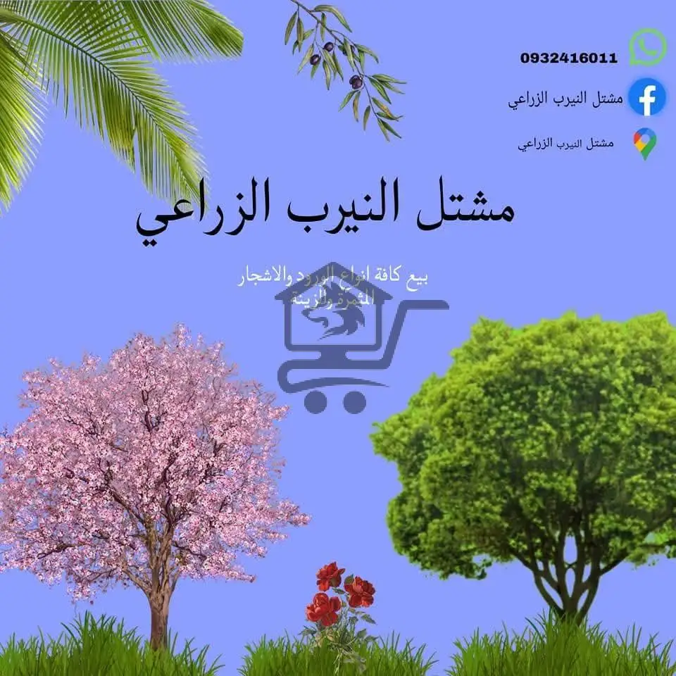 مشتل النيرب - الصورة 1