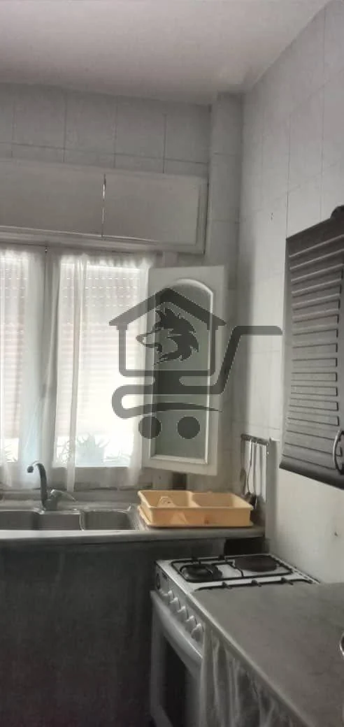 حلب شارع النيل - الصورة 4