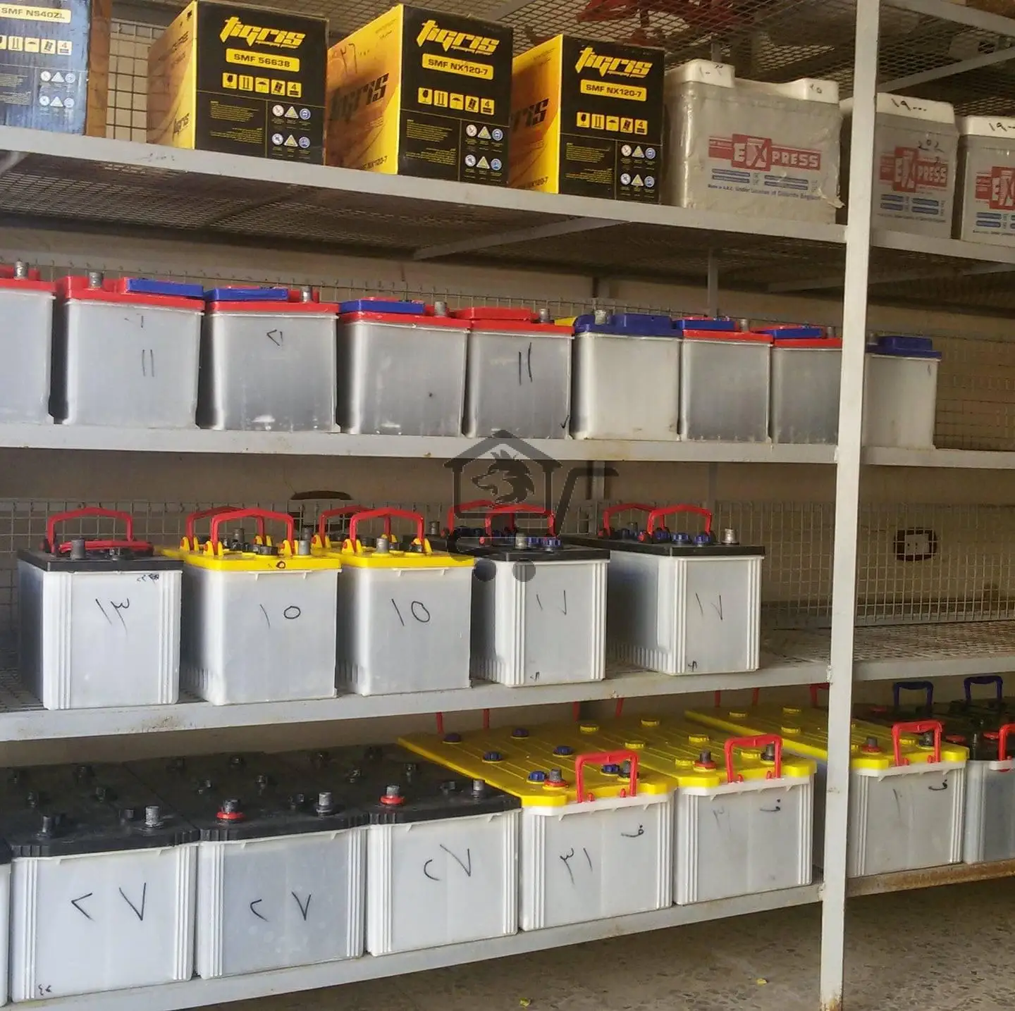 بطاريات الدلفين والبطريق - الصورة 4