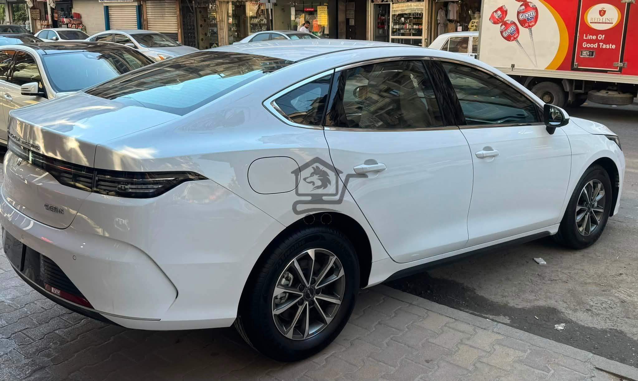 BYD Destroyer 2025 - الصورة 5