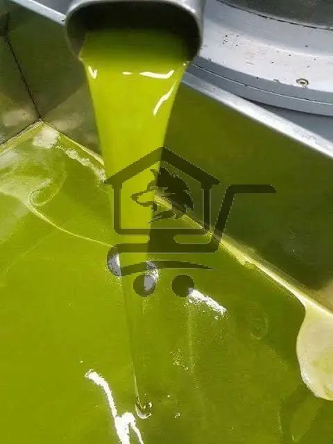 معصرة الصافي - الصورة 2