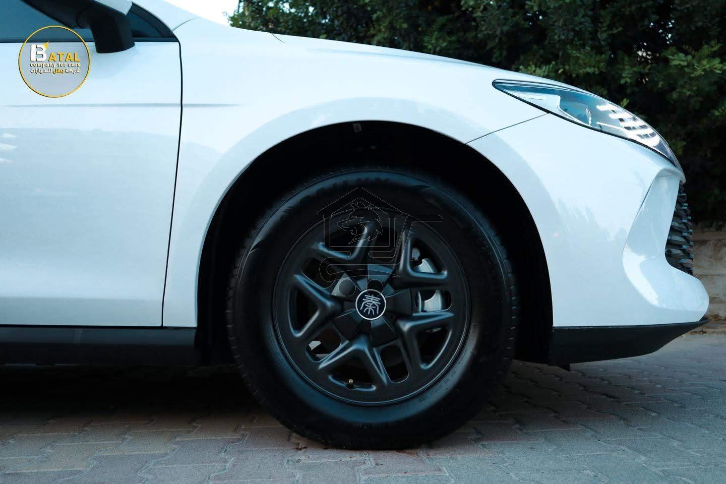 BYD QIN PLUS - الصورة 7
