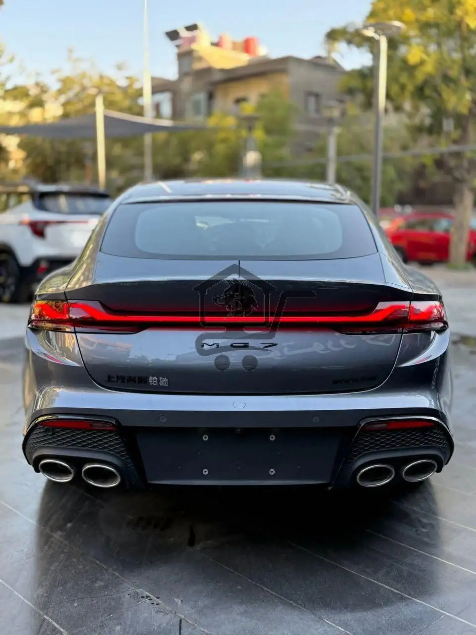 MG 7 - الصورة 4