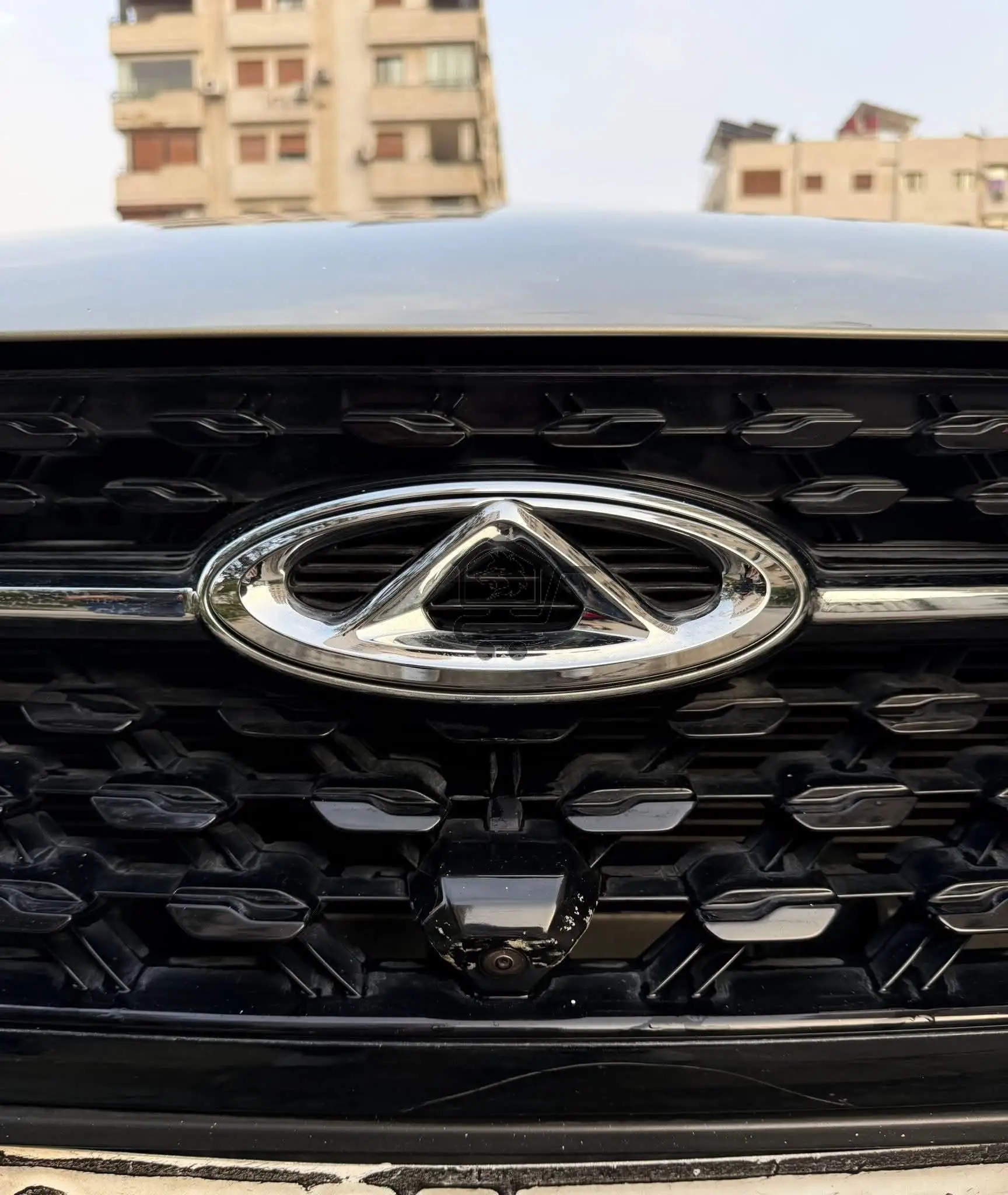 شيري اريزو 6 - الصورة 5