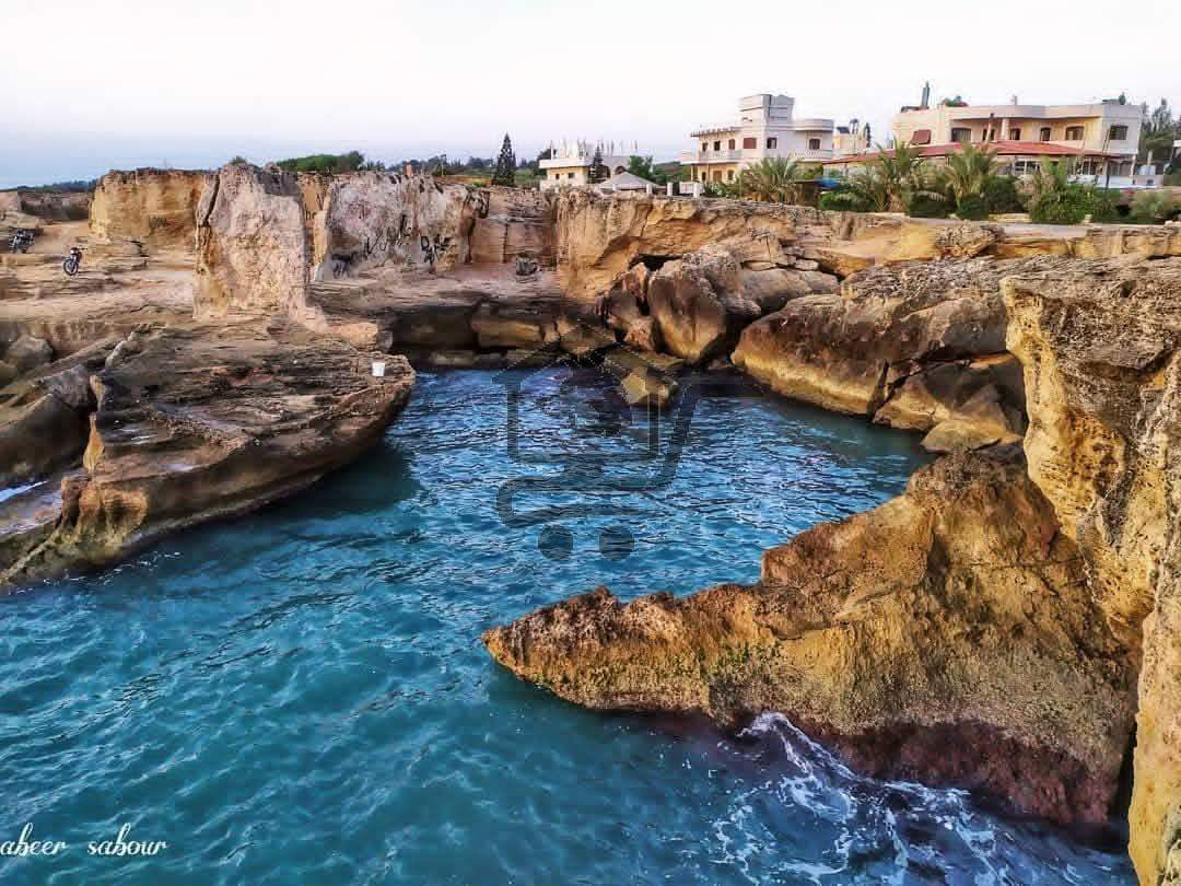 مطعم غزل البحر - الصورة 4