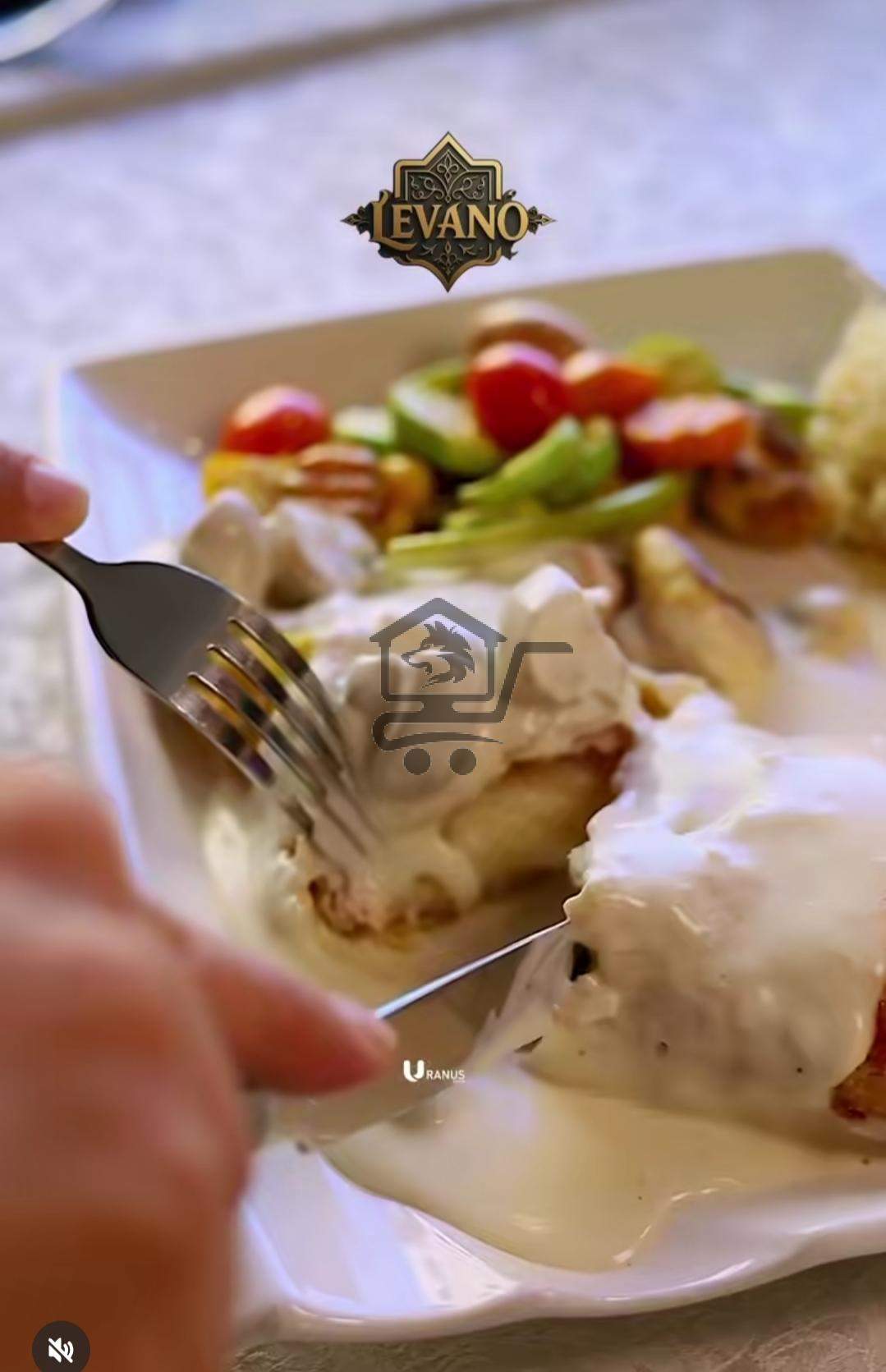 Lava levano - الصورة 5