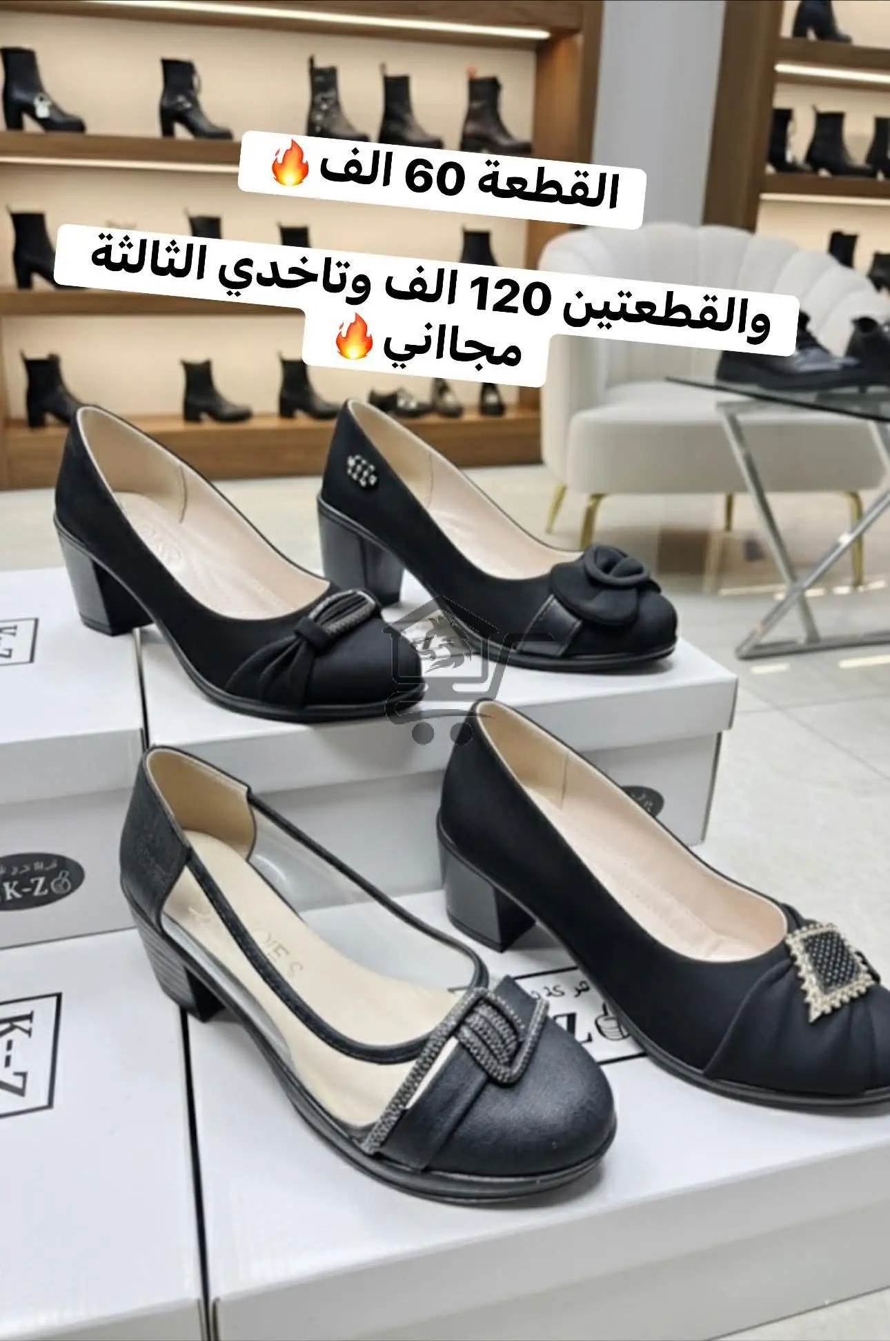 كندرة العرض من الخضر - الصورة 2