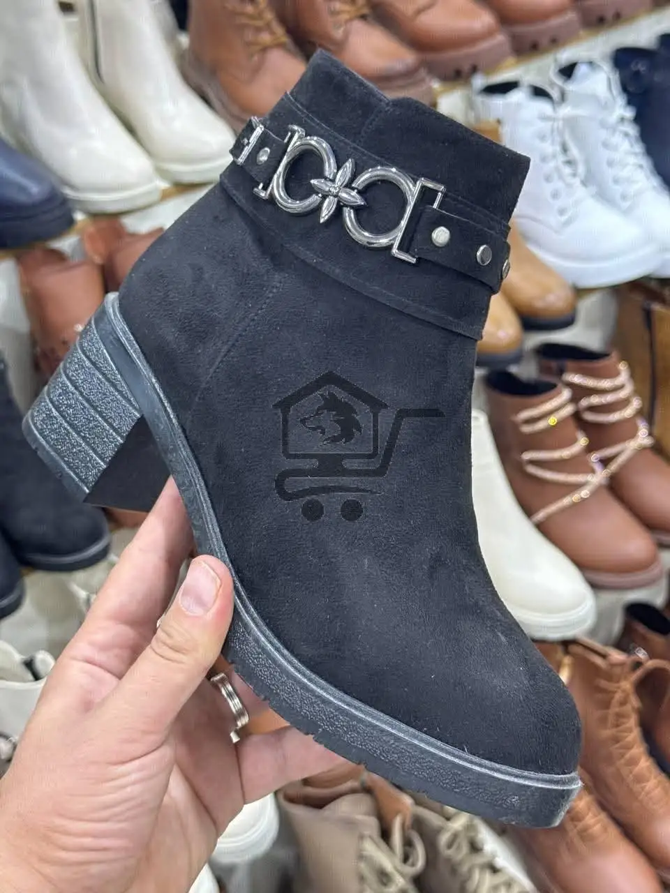 ساق قصير شاموا - الصورة 4