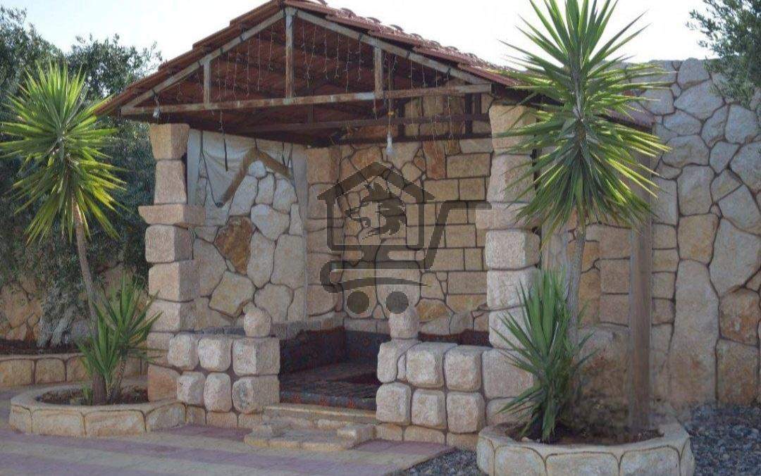 مزرعة رائعة _ مركز ادلب - الصورة 3