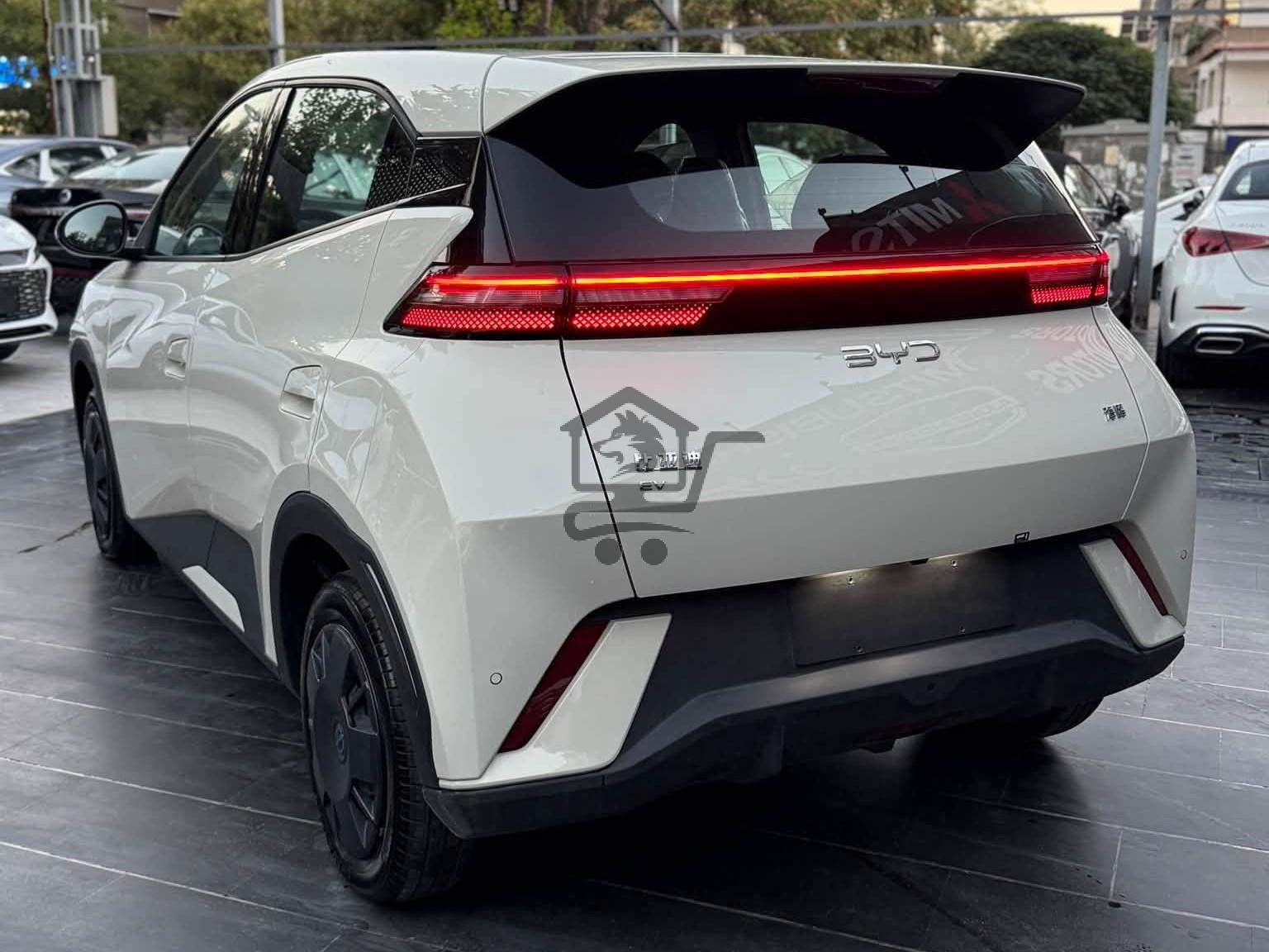 BYD Seagull 2025 - الصورة 2