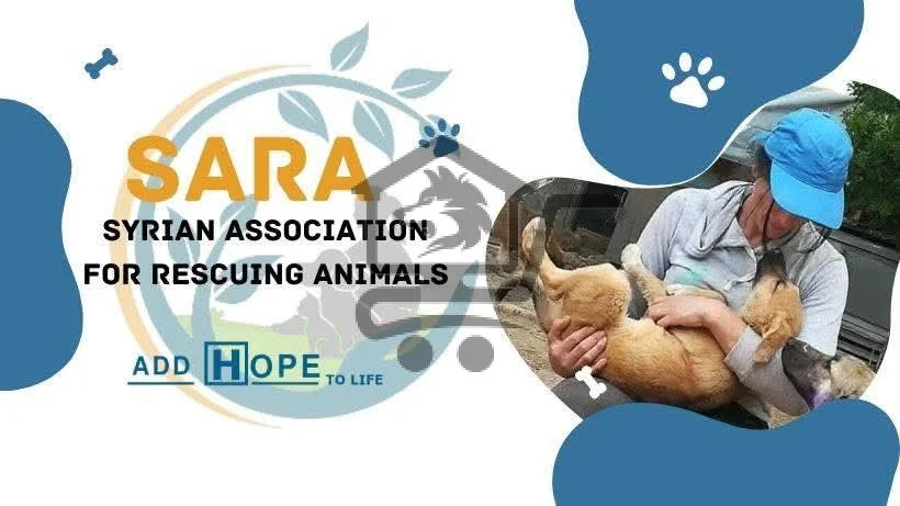 🐾 ملجأ سارة لإنقاذ الحيوانات 🐾 - الصورة 1