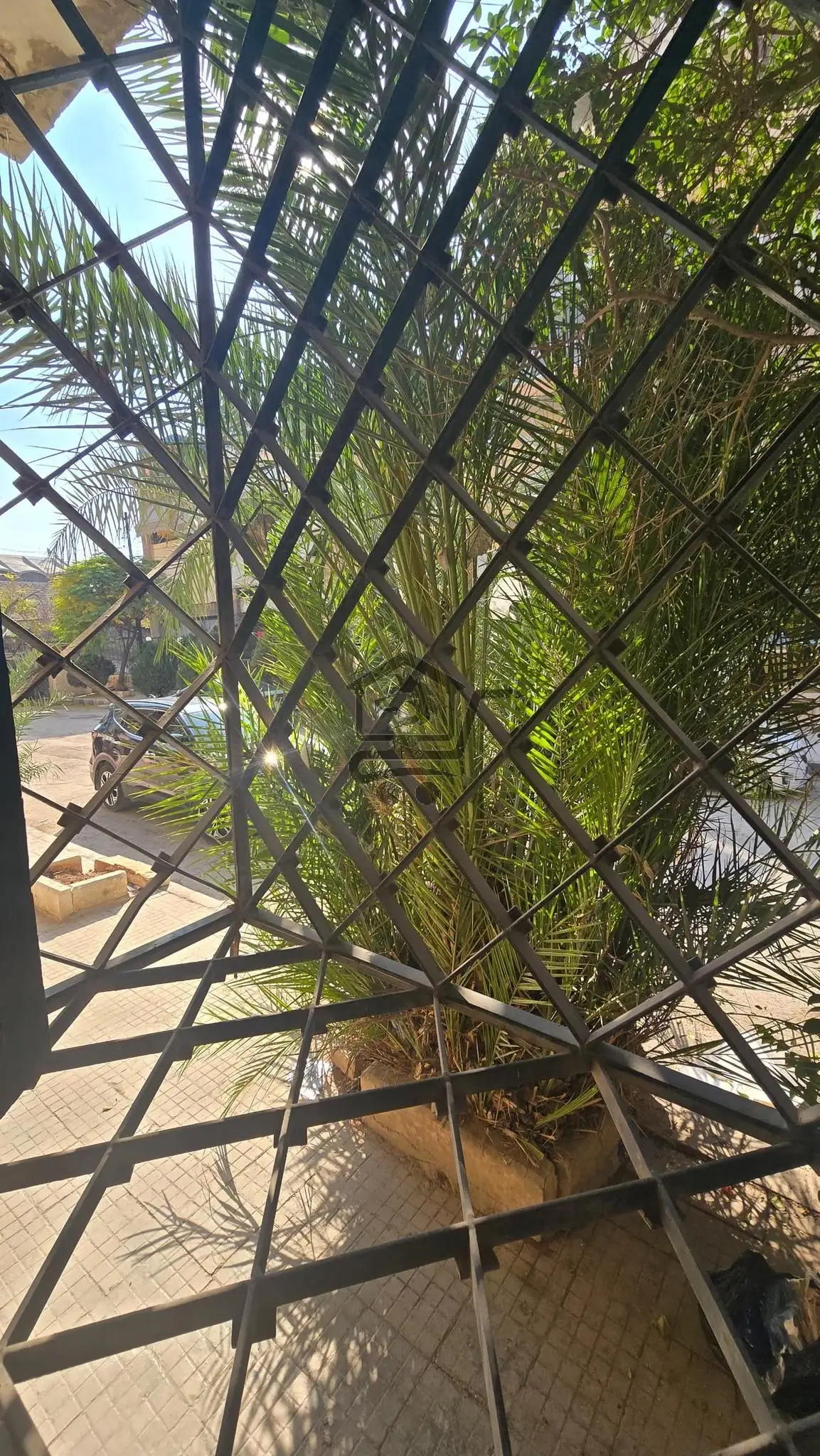 منزل يصلح للسكن او لأي مشروع تجاري او مكتب هندسي - الصورة 8