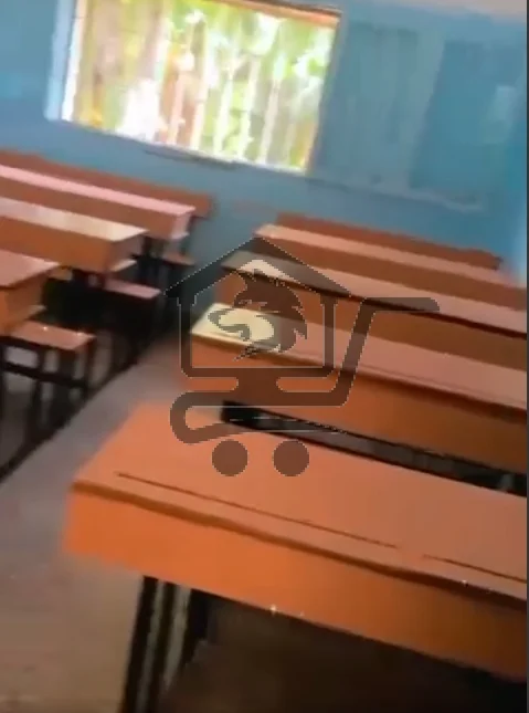 معهد النوران - الصورة 4