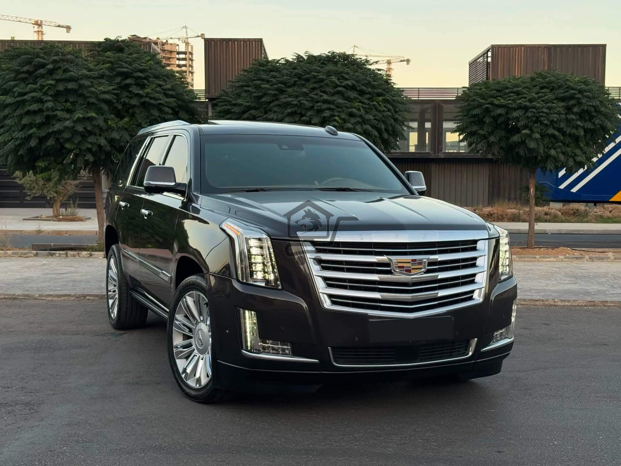 ESCALADE PLATINUM - الصورة 1