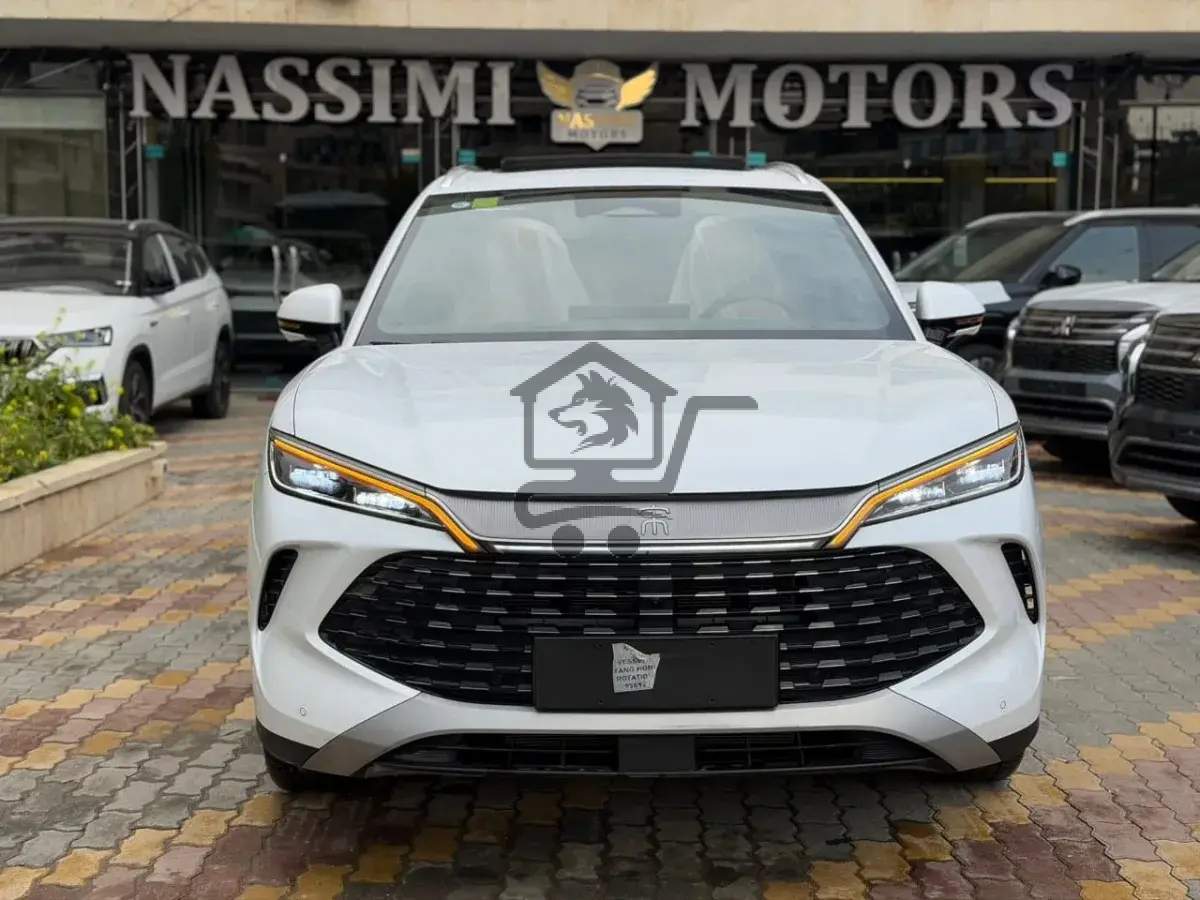 بي واي دابيلو - BYD - الصورة 4