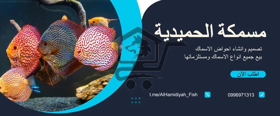 مسمكة الحميدية - الصورة 1