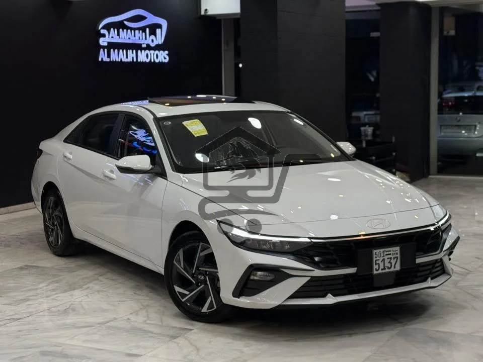 Hyundai - الصورة 1