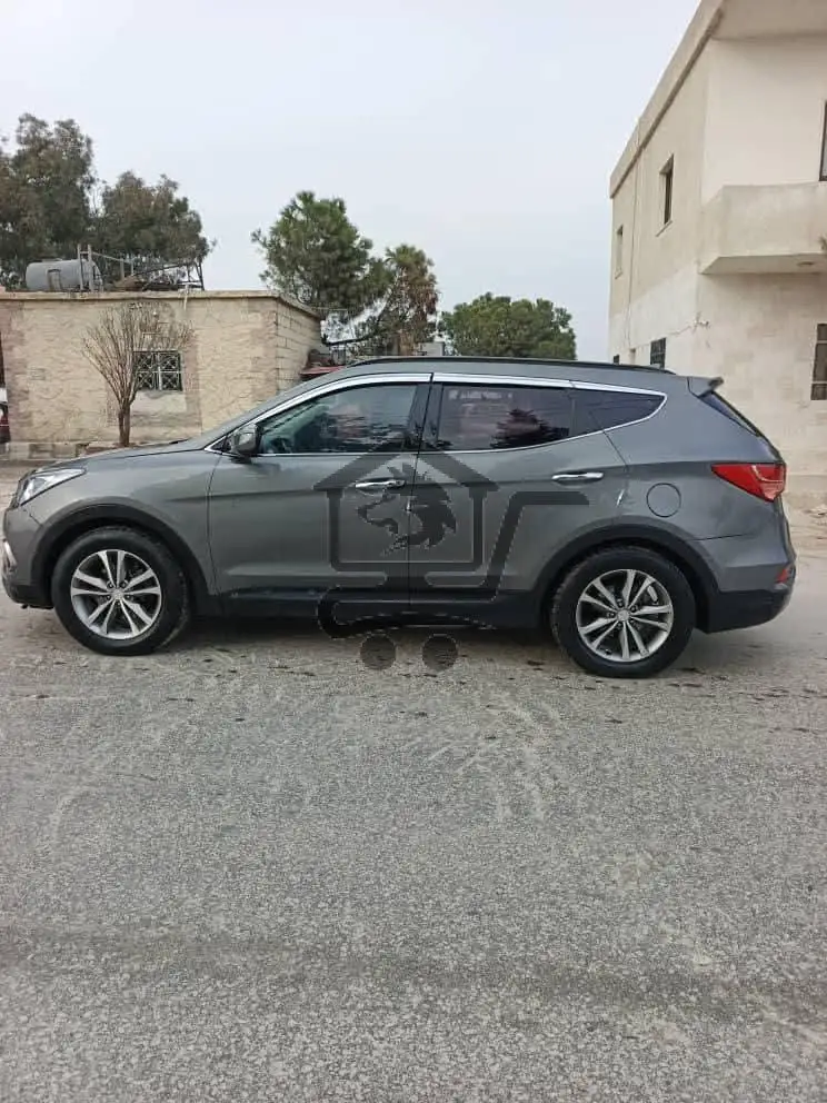 دي ام 2016 - الصورة 5