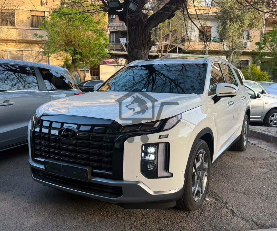 Hyundai Palisade 2024 - الصورة 1