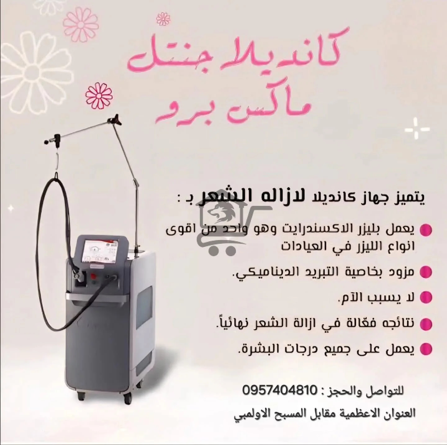 Le Julie - الصورة 3