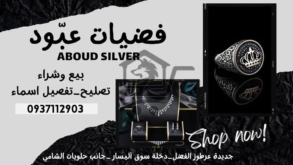 فضيات عبود - الصورة 1