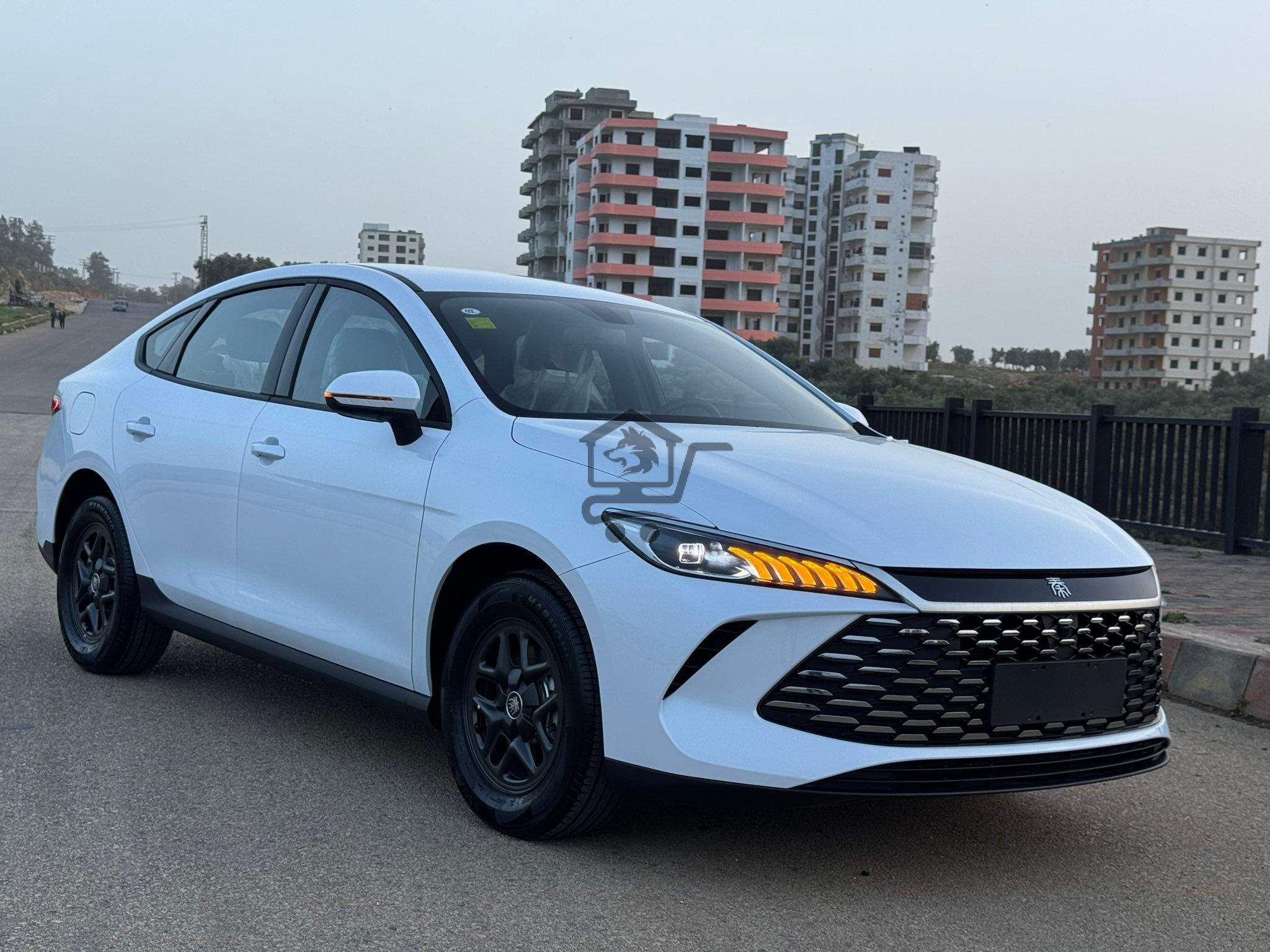 BYD Qin Plus - الصورة 1